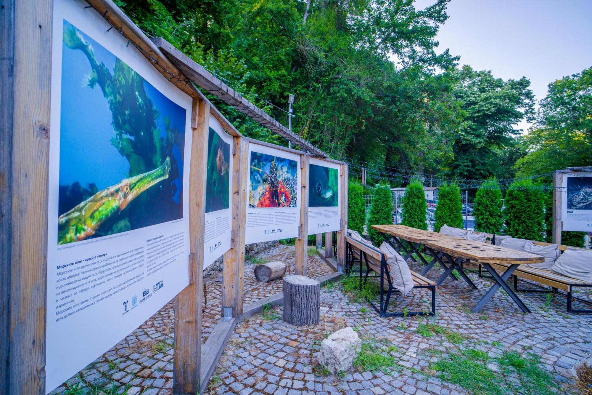 Къщички Синьо Лято, Черноморец - Варна - Blue Summer Houses Varna Buitenkant foto